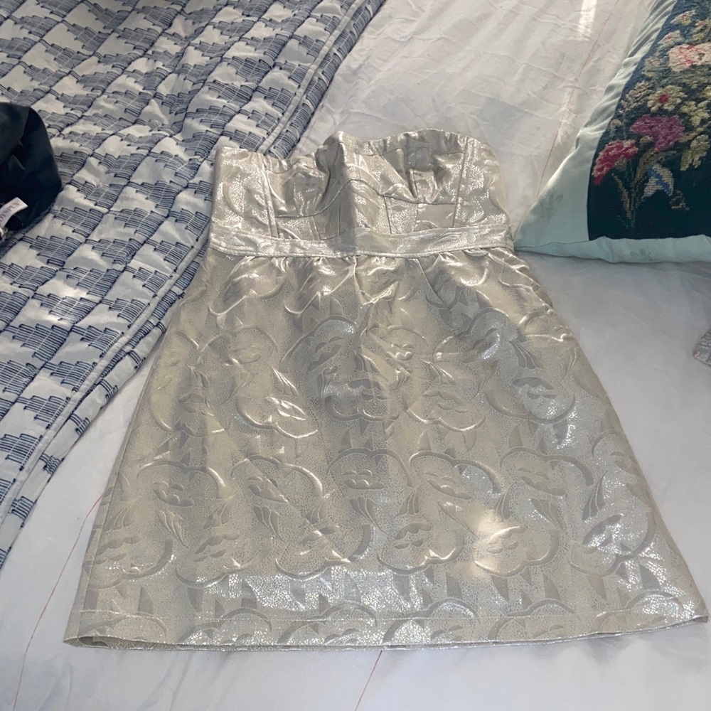 American Eagle Outfitters Silver/cream Strapless Dress
